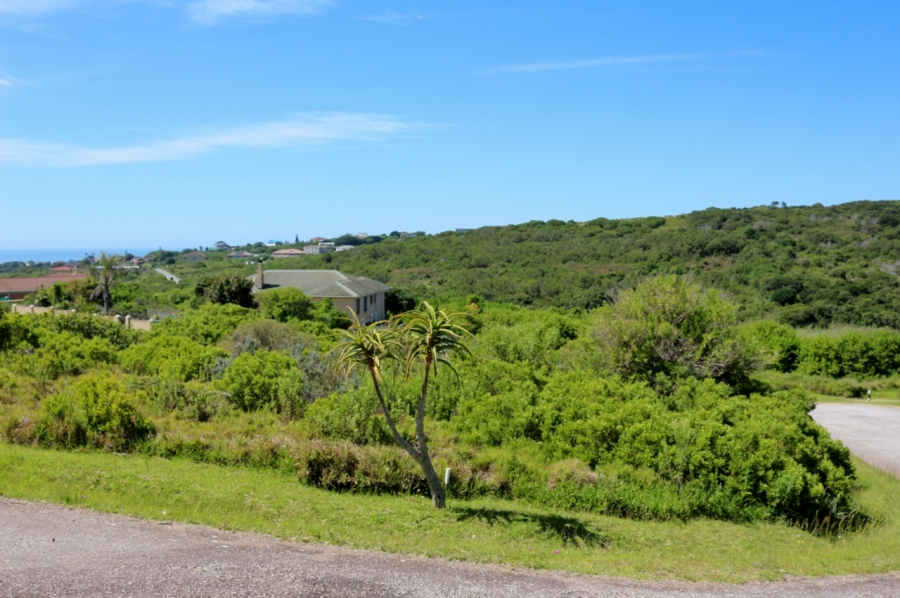 0 Bedroom Property for Sale in Forest Downs Eastern Cape